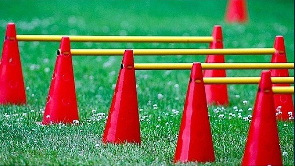 Für die Athletiktrainer gibt es mehrere Kurse zur Auswahl. F: Patten