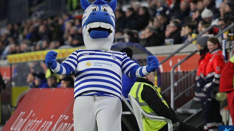 Alle Trainer des MSV Duisburg in der Übersicht. 