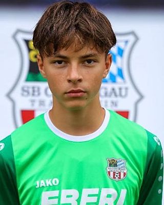 Elias Schostek