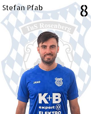 Stefan Pfab