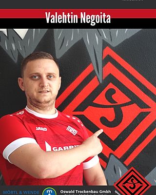 Valehtin Negoita