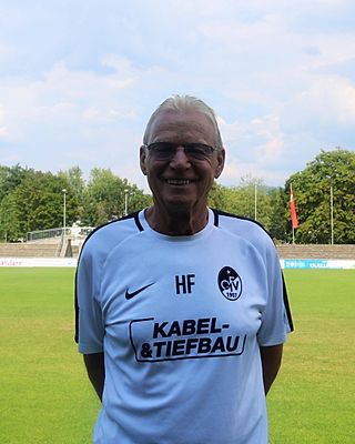 Heinz Falk