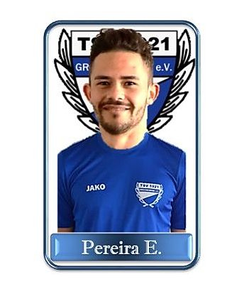Erik Pereira De Aroujo