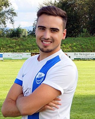 Luis Mendoza