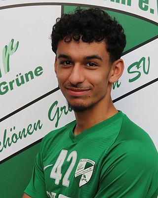 Zakariya Ziouani