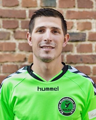 Dirk Sterzing