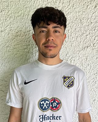 Mohammad Rezaye