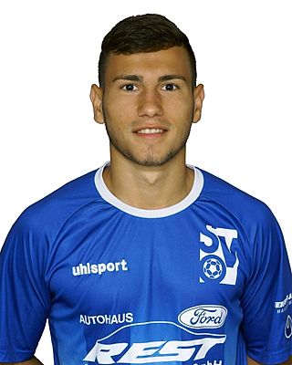 Andrei-Stefan Badea